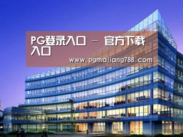 案例展示五