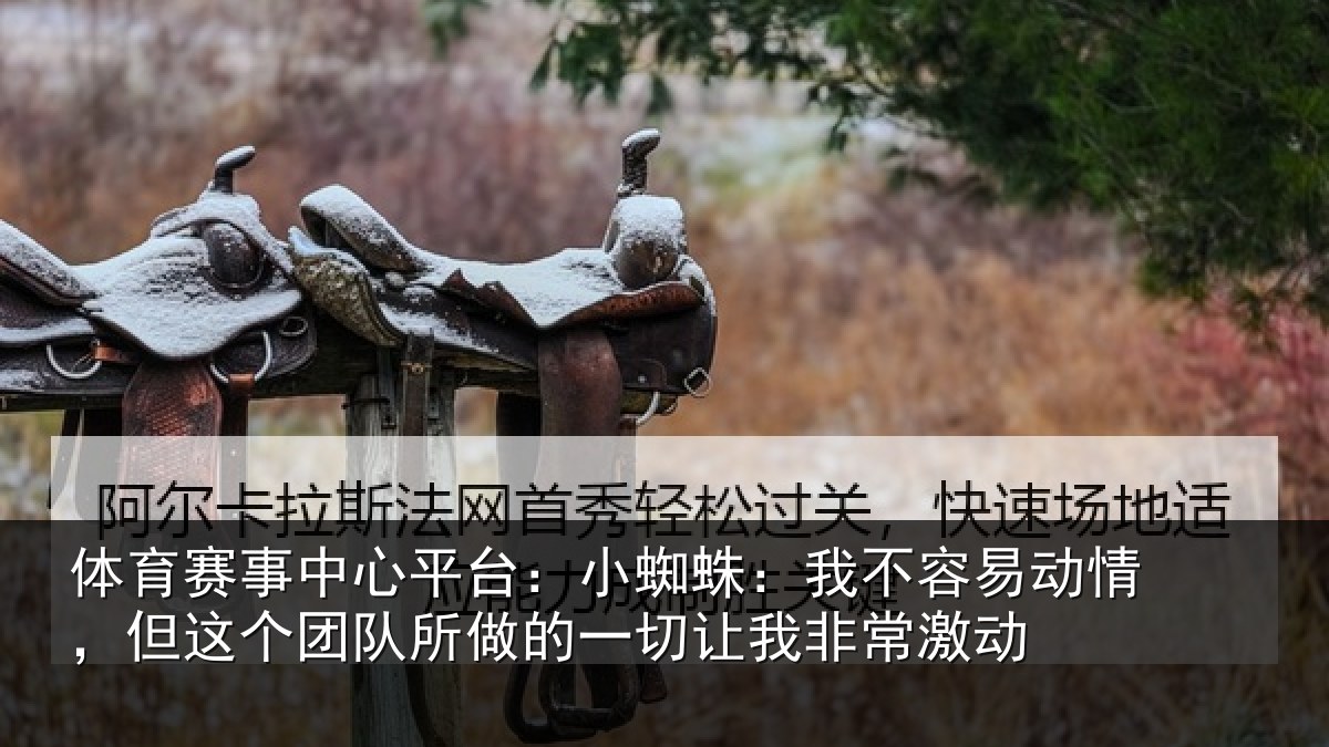 体育赛事中心平台:小蜘蛛:我不容易动情,但这个团队所做的一切让我非常激动