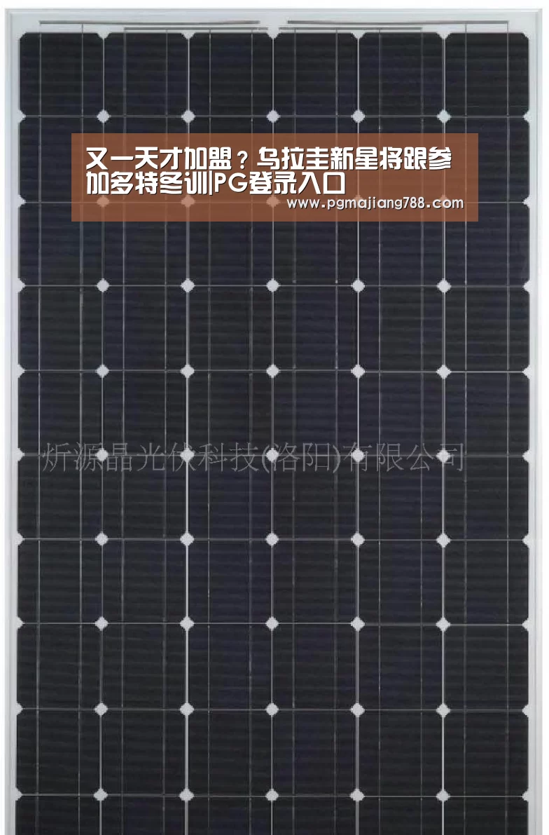 PG登录入口