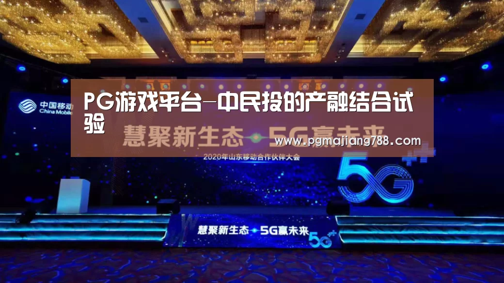 PG游戏平台-中民投的产融结合试验(图2) PG登录入口