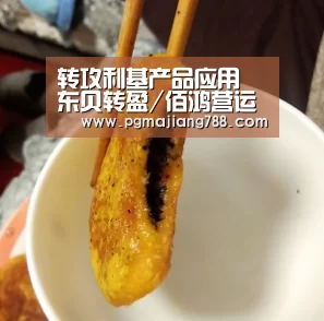 转攻利基产品应用 东贝转盈/佰鸿营运拼稳:PG游戏平台(图2) PG Soft APP