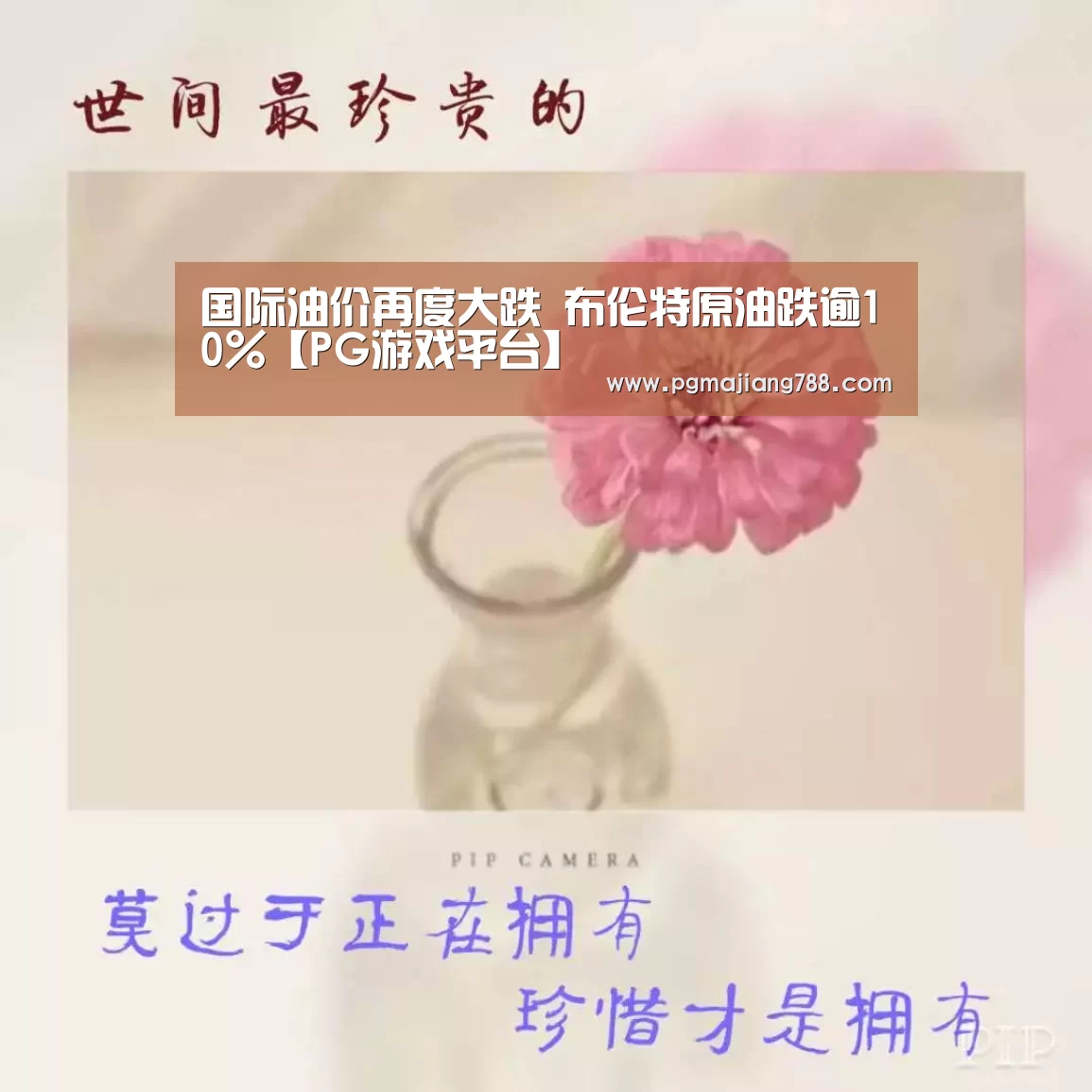 PG游戏平台