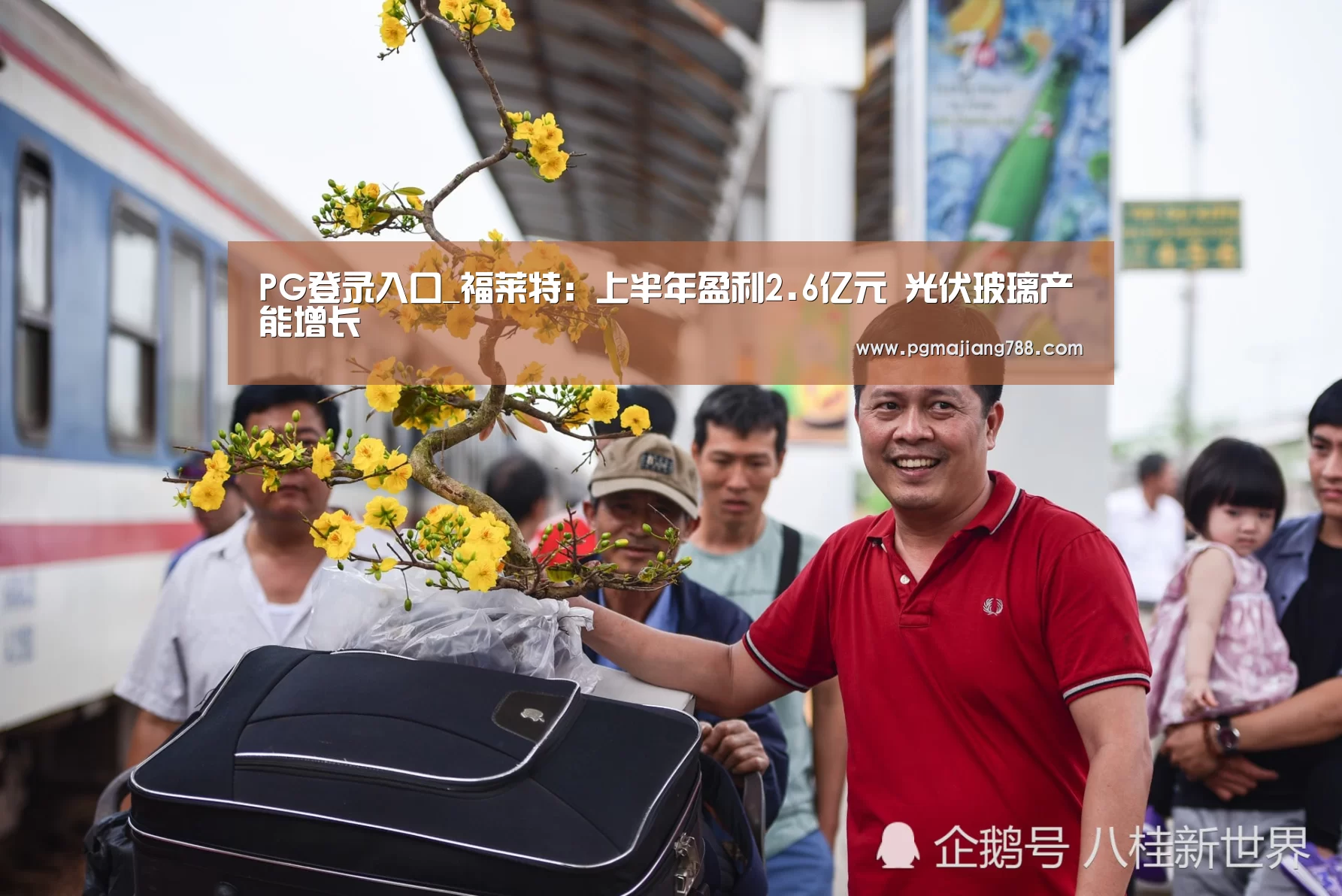 PG登录入口_福莱特:上半年盈利2.6亿元 光伏玻璃产能增长(图2) PG游戏平台