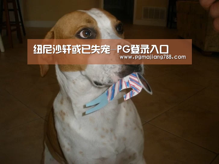 纽尼沙轩或已失宠-PG登录入口(图2) PG Soft APP